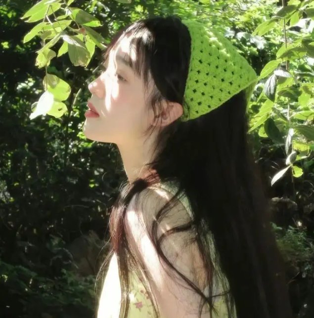 唐娜·芭芭拉